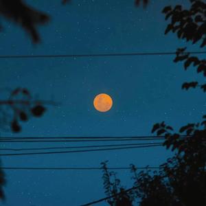 GOGO全球大胆高清人露出p毛
